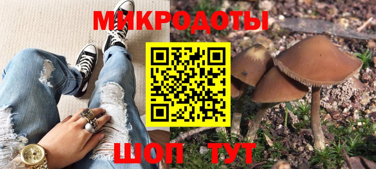 Псилоцибиновые грибы мухоморы Шебекино