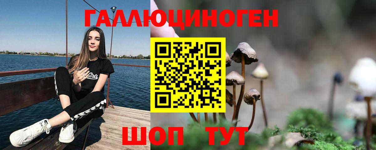 Галлюциногенные грибы GOLDEN TEACHER  Галлюциногенные грибы прущие грибы  Шебекино  Вход с VPN 